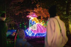 lumina park w lublinie b0344c132a07