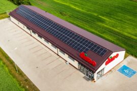 market dino b472be218a57