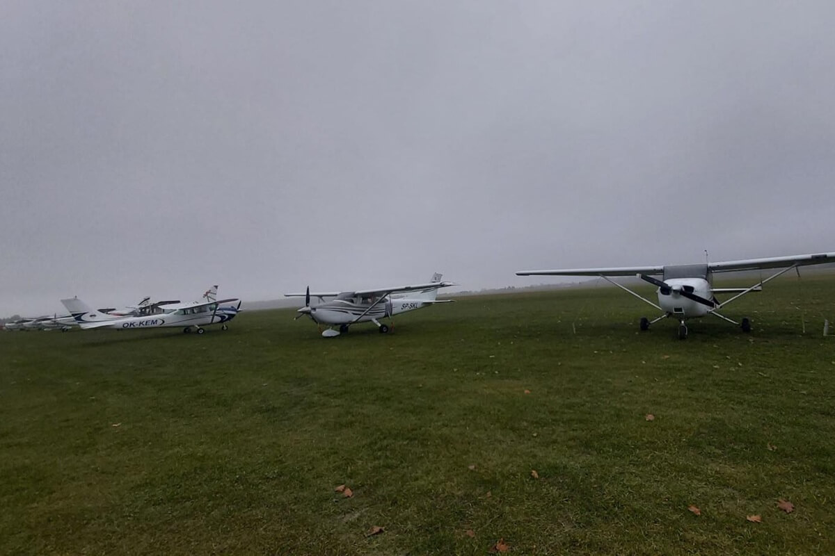 Nie udało się rozrzucić wszystkich szczepionek przeciwko wściekliźnie. Akcja zostanie dokończona w czwartek