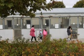 schronisko dla bezdomnych zwierzat w lublinie 0352551266ab