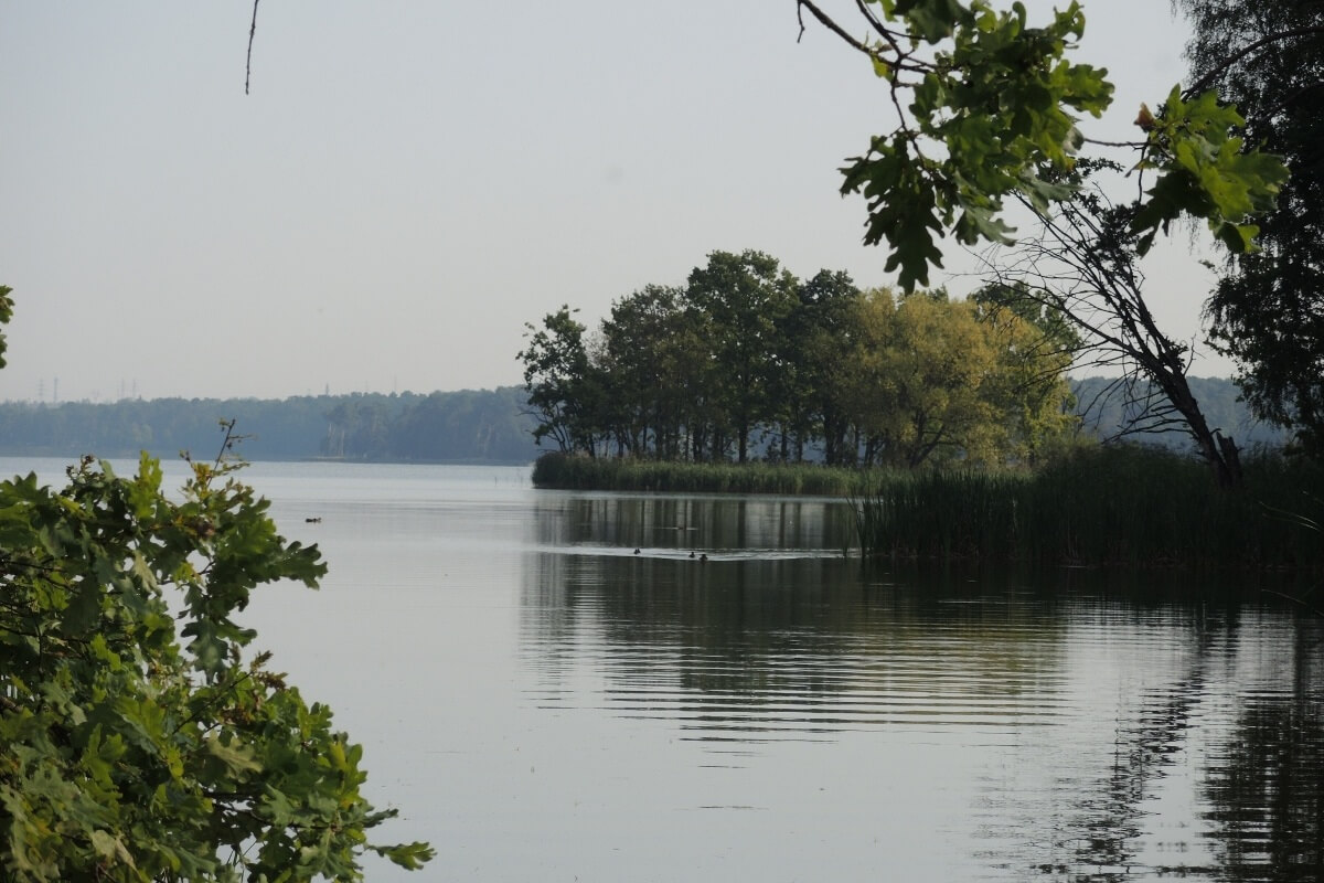 Lublinianie zdecydowali! 39 projektów za ponad 17 mln zł w 12. edycji Budżetu Obywatelskiego
