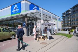 stokrotka optima 39edd08fce25