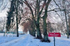 Pomnik przyrody Aleja drzew nad Zalewem Zemborzyckim fot. Miasto Lublin 3ce41ae5251b