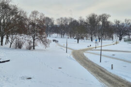 blonia pod zamkiem przykryte sniegiem 479174877084