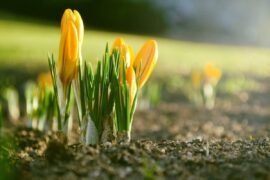 AdobeStock 297148945 1ce4c5e9f351