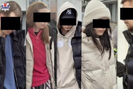 zatrzymani czlonkowie zorganizowanej grupy przestepczej cb966cc6ad73