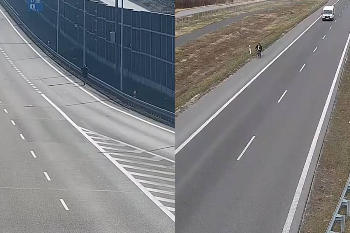 Szokujące sceny na ekspresówkach w Lubelskiem. Biegacz na S12 i rowerzysta na S19