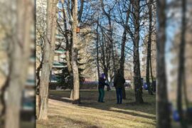 mezczyzna z tyczka przy gniezdzie ptakow 888f189079df