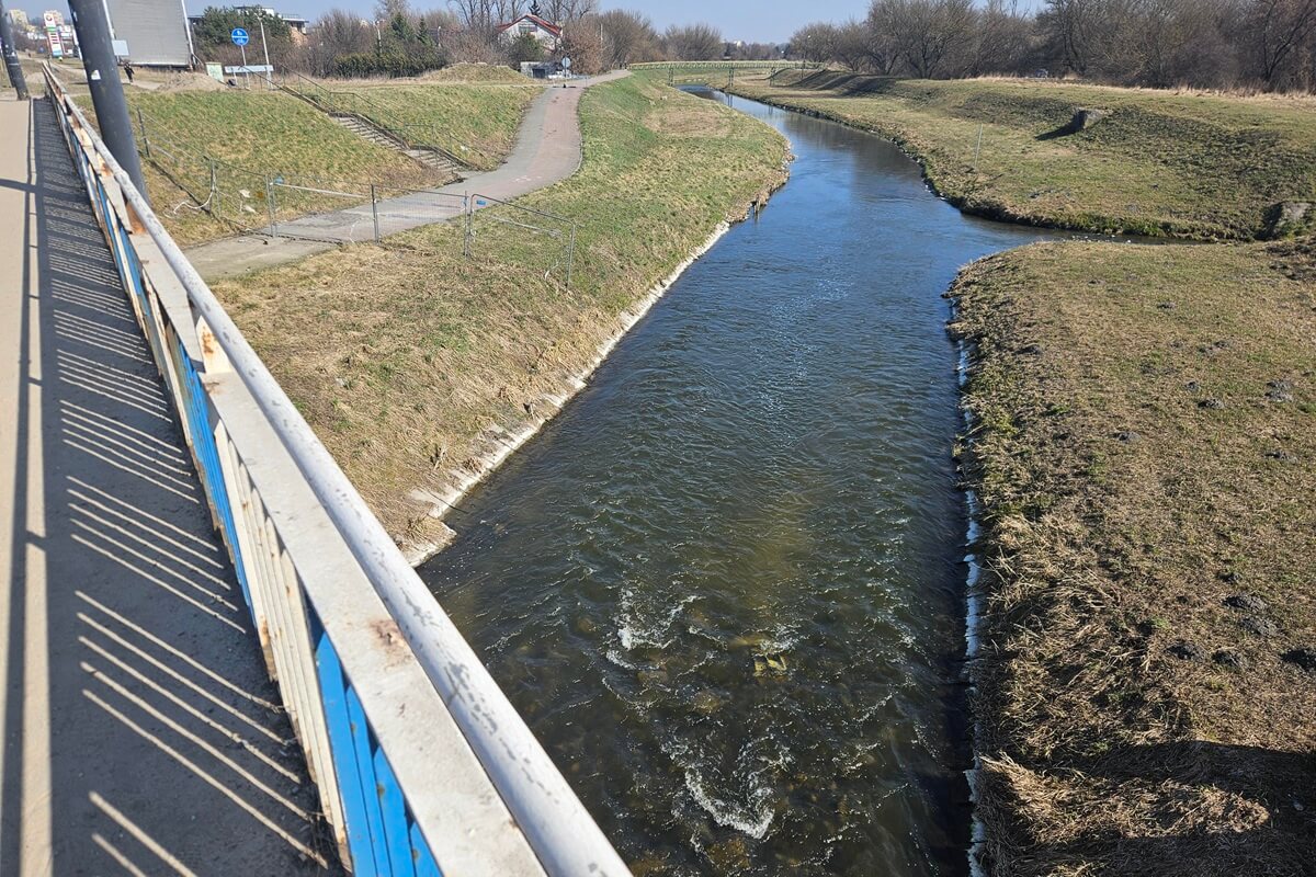 Pożegnanie Marzanny w Lublinie. Lubelscy Rodzimowiercy zapraszają na wieczorny obrzęd