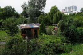 ogrodki dzialkowe 4bdb9ef44db0