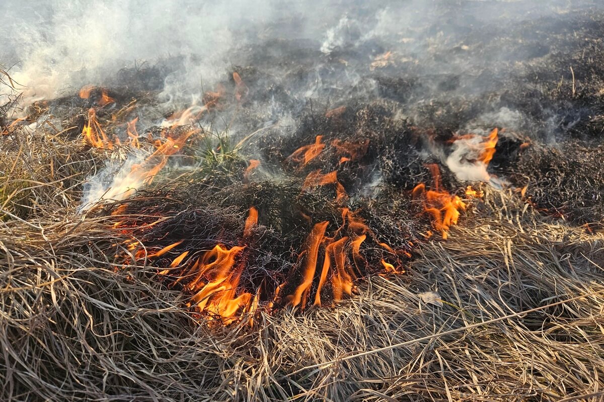 Pożar suchych traw przy ul. Turystycznej w Lublinie. Cztery zastępy straży pożarnej na miejscu
