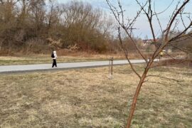 przy wodolnej powstanie boisko do plazowki i miejsce na ognisko 7f486a746b2d