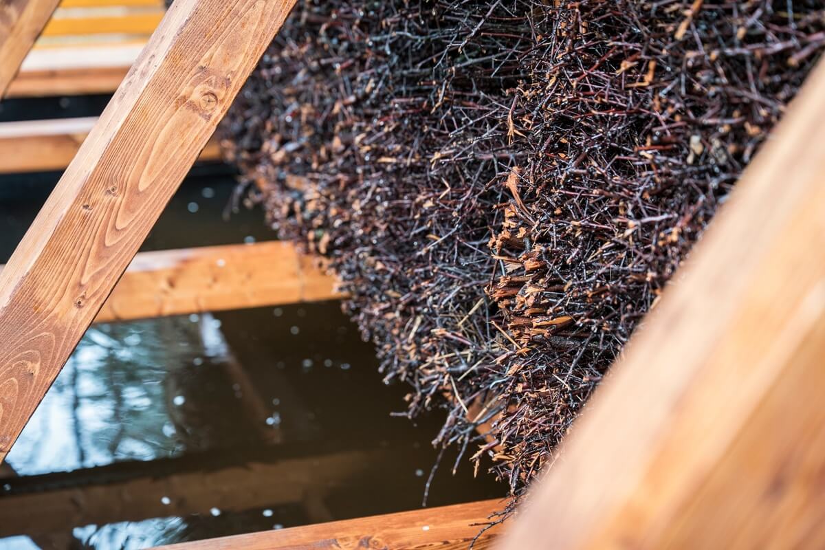 Lublin szuka firmy do obsługi tężni solankowej przy ul. Gen. Zajączka. Obiekt kosztował 211 tys. zł