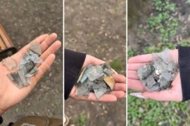 znalezione kawalki szkla na wybiegu dla psow park ludowy 736e606b1474