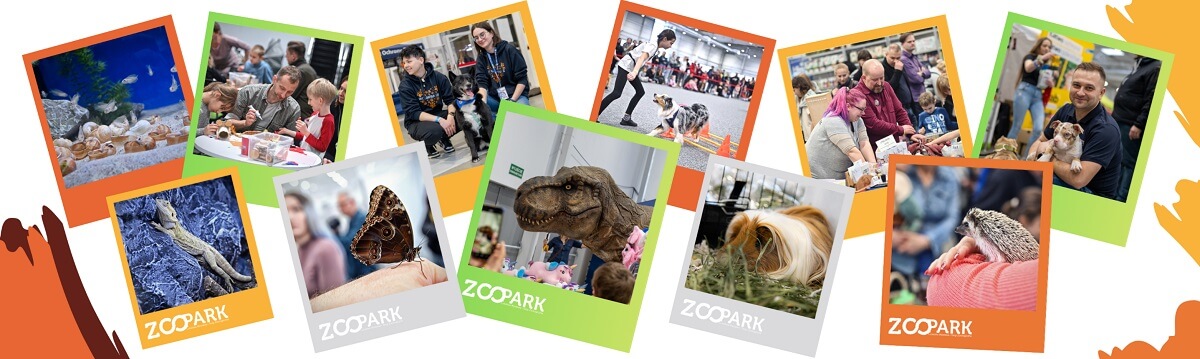 Zdjęcia zwierząt ZOOPark