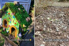 akty wandalizmu w ogrodzie botanicznym umcs 4ac80e086e69