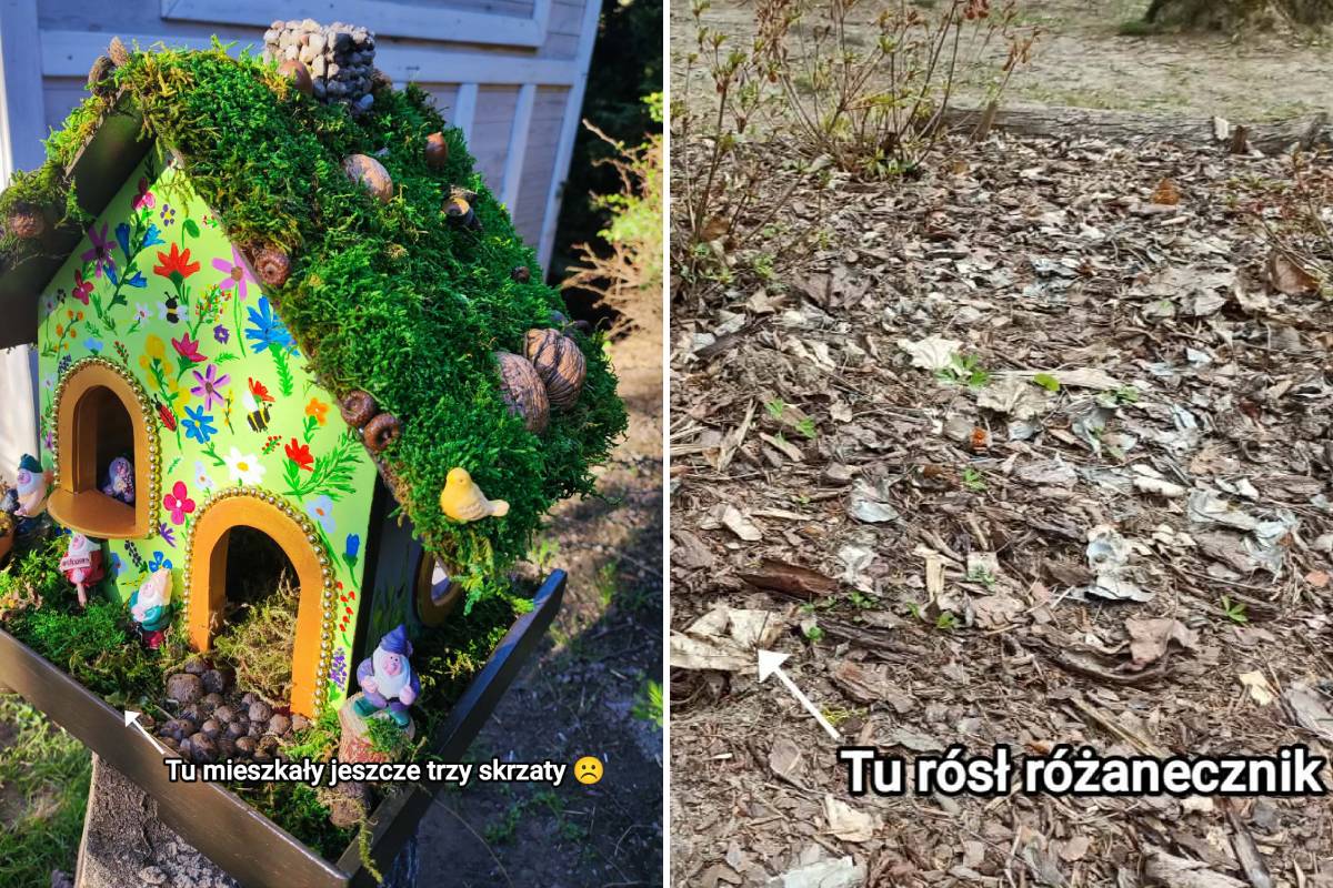 Skandal w Ogrodzie Botanicznym. Rośliny wykopane z ziemi, zniszczono kącik dla dzieci