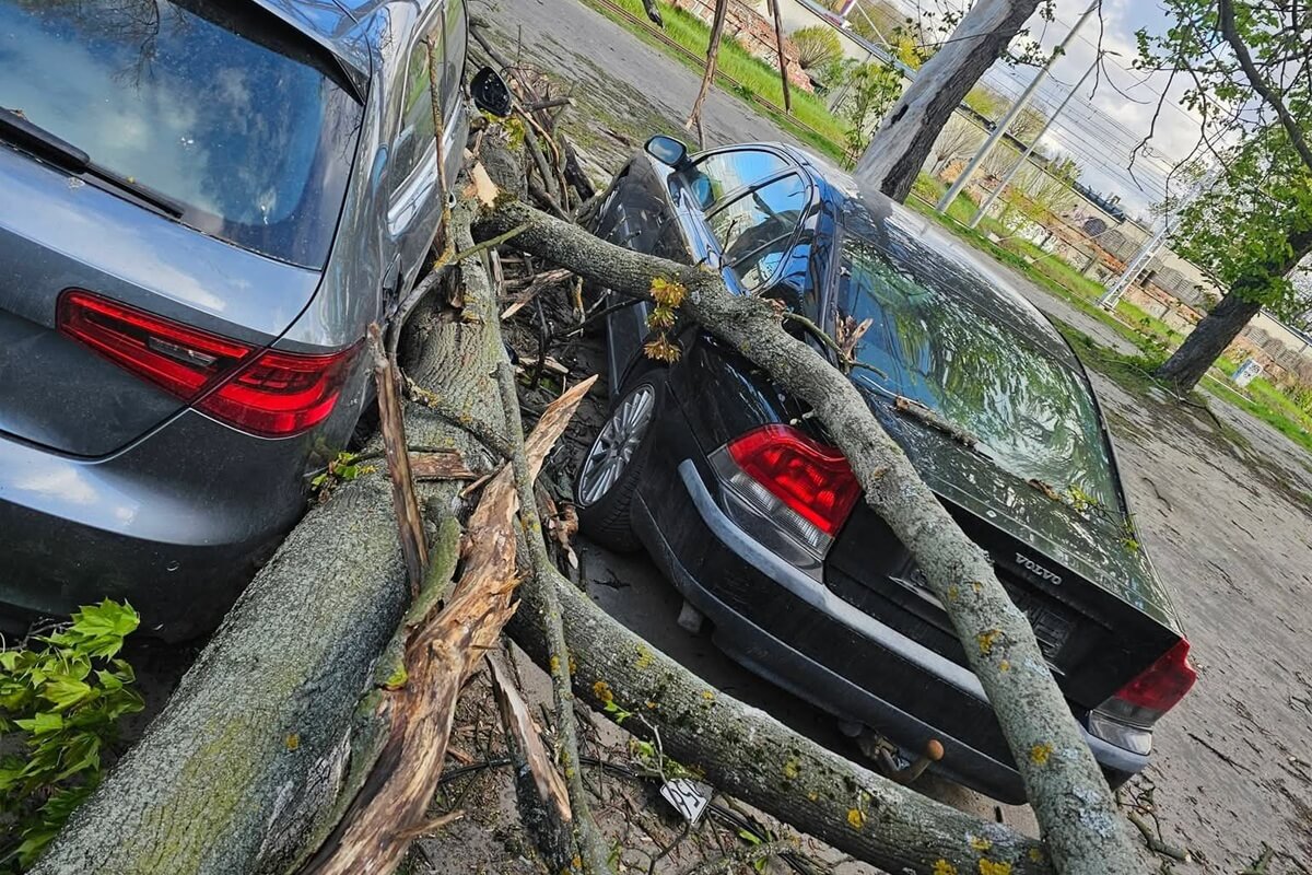 Potężny konar runął na samochody w Lublinie. Dwa pojazdy poważnie uszkodzone [ZDJĘCIA]