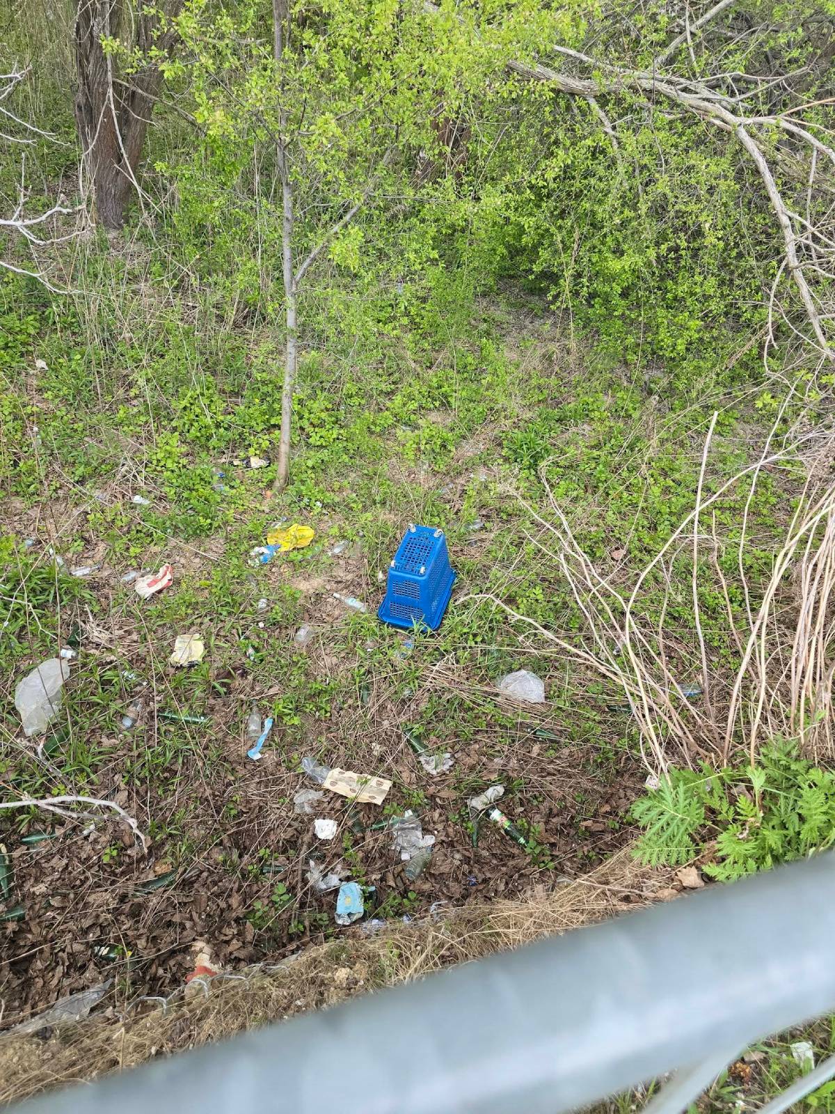 Koszyk zakupowy z Lidla wylądował w krzakach