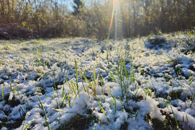 kwietniowy snieg na trawie o poranku 7139e98ee973