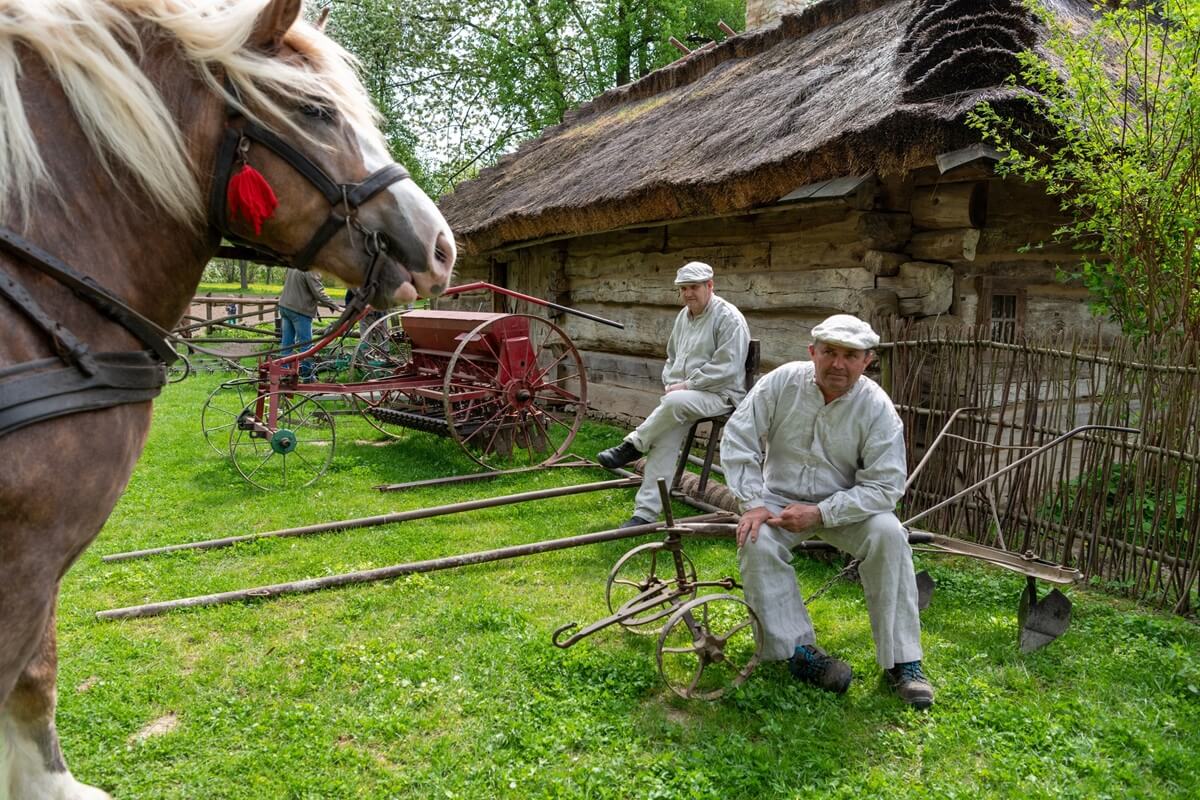Nocne przymrozki wracają do Lubelskiego. IMGW wydał ostrzeżenie
