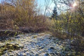 poranny przymrozek c154c0d8c82b