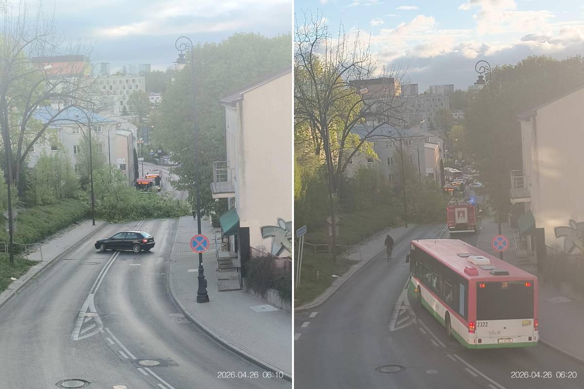 Silny wiatr daje się we znaki w Lubelskiem. Dziesiątki interwencji strażaków, problemy także w Lublinie