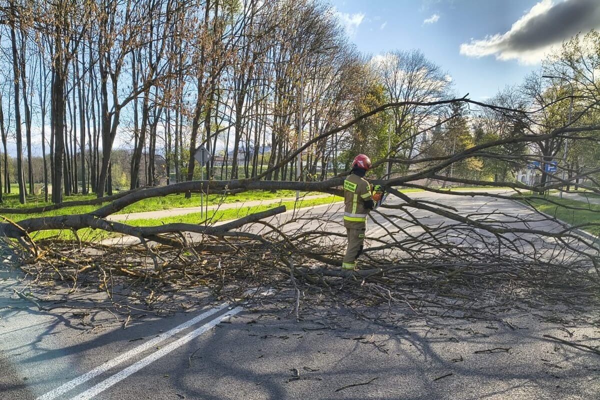 Lubelszczyzna walczy ze skutkami wichury. Brak prądu, zerwane dachy, połamane drzewa, są ranni [ZDJĘCIA]