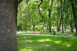Rewitalizacja Parku Bronowickiego zbliza sie do finalu 1 a87a4a24a97d