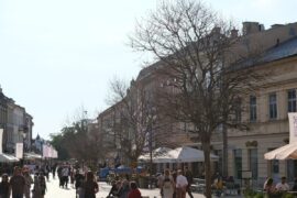drzewa bez lisci na deptaku b8f0d03e4653