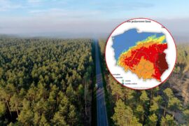 dym nad planacym lasem mapa zagrozenia pozarowego lasow cfccfe9ecb15