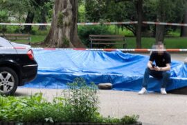 fontanna przy wallenroda zabezpieczona przez policje padle golebie 317fb0ea92b8
