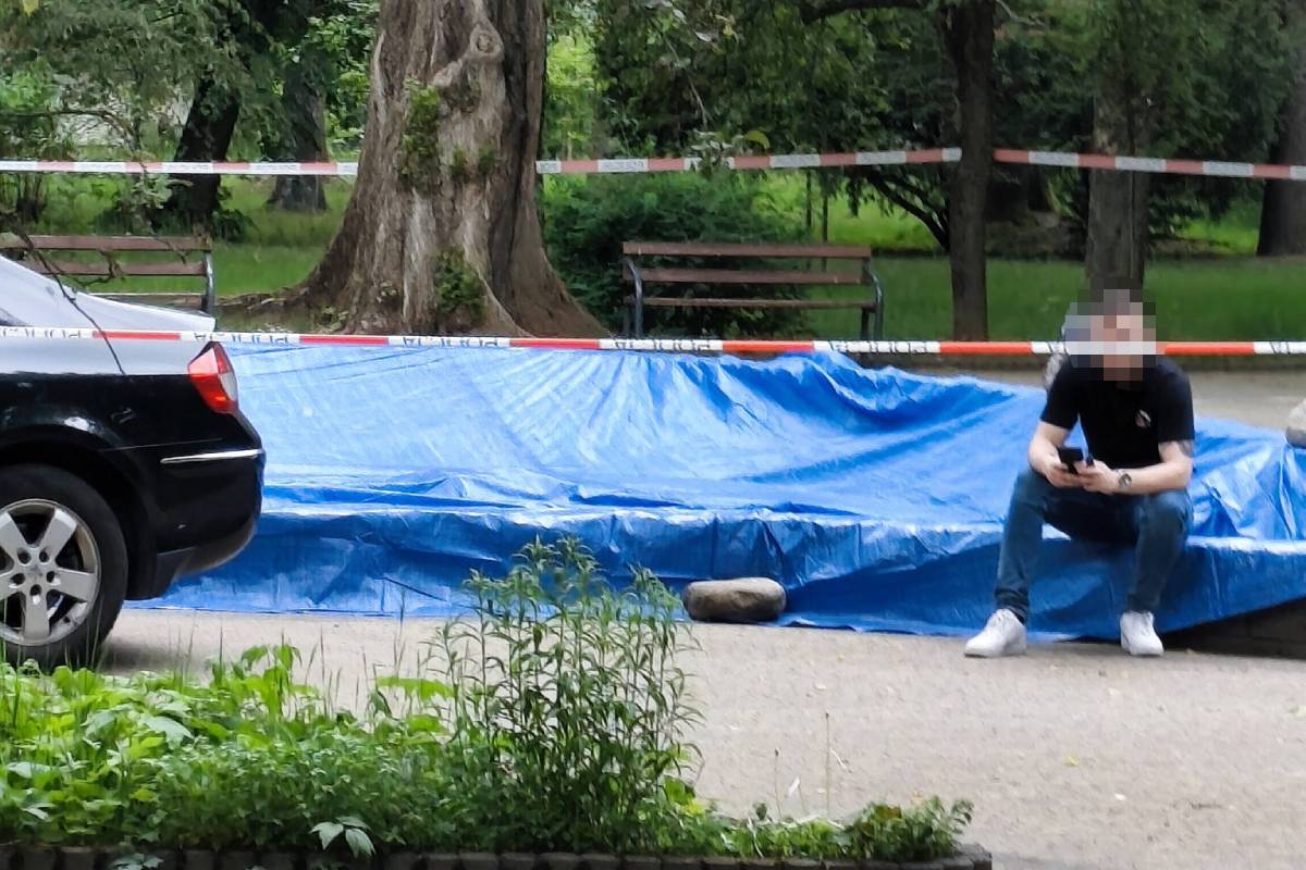 Makabryczne odkrycie na LSM-ie. Kilkadziesiąt martwych ptaków w fontannie, teren zabezpieczony przez policję