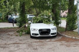 galaz spadla na zaparkowany samochod audi na ul leonarda 3979b683da0b
