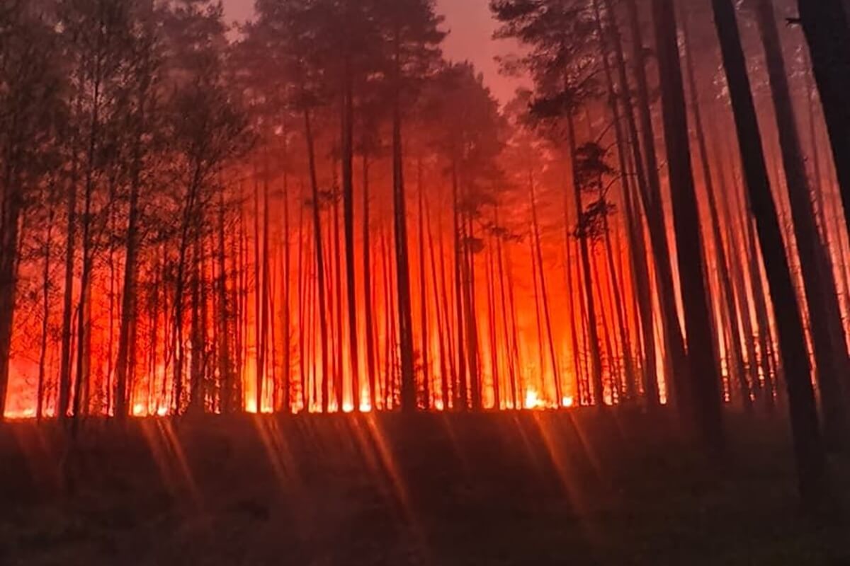 Katastrofa w trakcie gaszenia pożaru lasów w powiecie biłgorajskim. Rozbił się dromader, pilot nie żyje