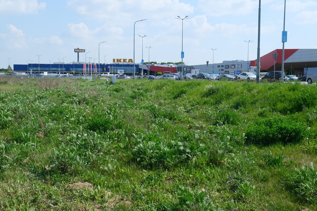 Na terenach zielonych przy Skende / Ikea powstanie park handlowy i dwie restauracje