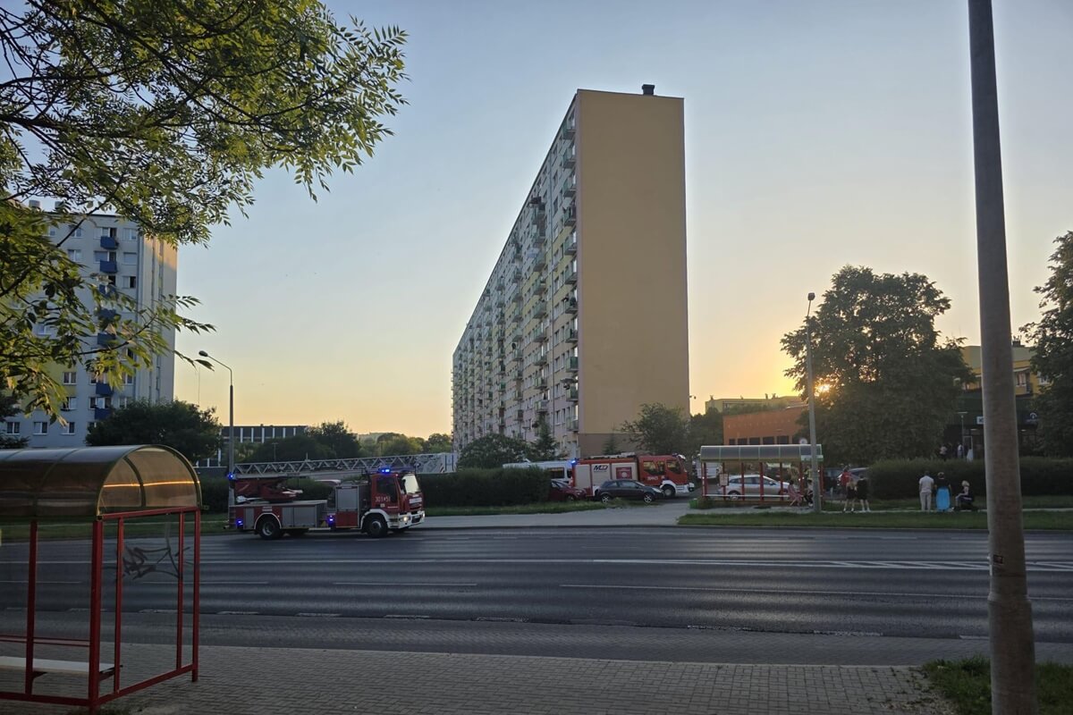 Akcja służb w bloku przy ul. Marii Koryznowej