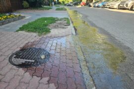 nieczystosci wylewajace sie na ulice e12722456d6a