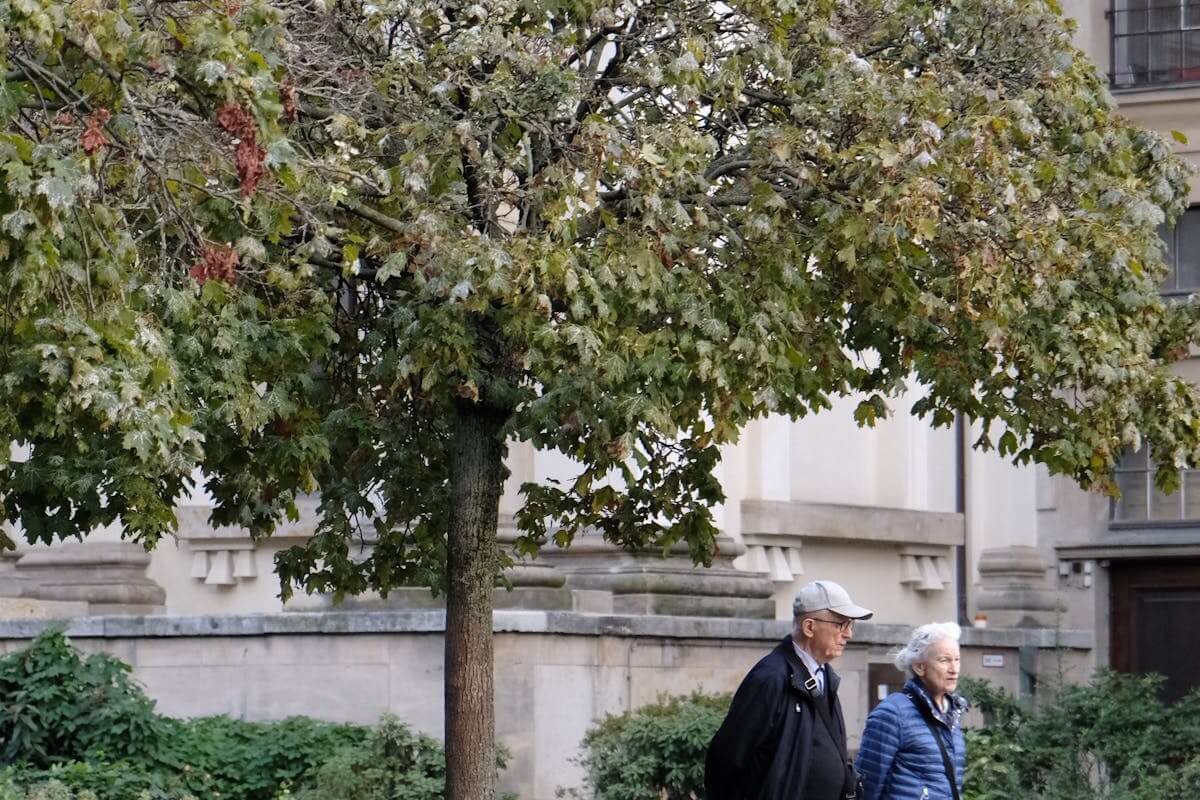 Zróbmy coś pięknego dla starszych sąsiadów. Rusza wyjątkowy konkurs