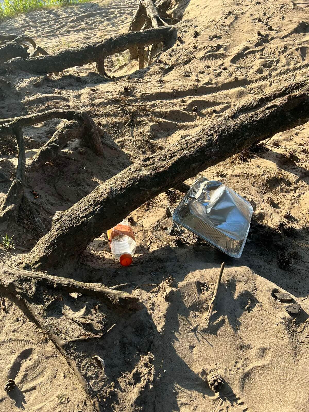 Zostawili tlący się grill jednorazowy i śmieci nad Zalewem Zemborzyckim. Groziło to pożarem!