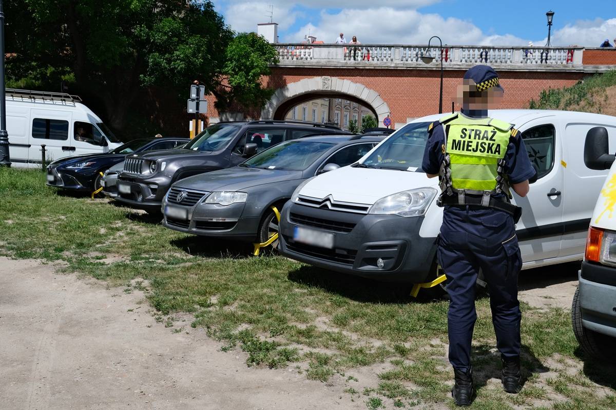Kierowcy zamienili trawnik w parking obok Zamku. Strażnicy założyli blokady na 6 aut [ZDJĘCIA]