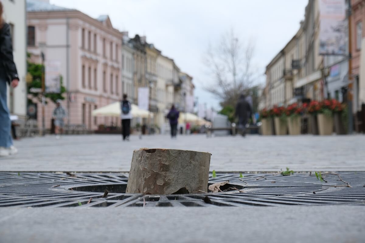 Pogoda na poniedziałek: Front burzowy przejdzie nad Lubelszczyzną. Temperatura nie zachwyci