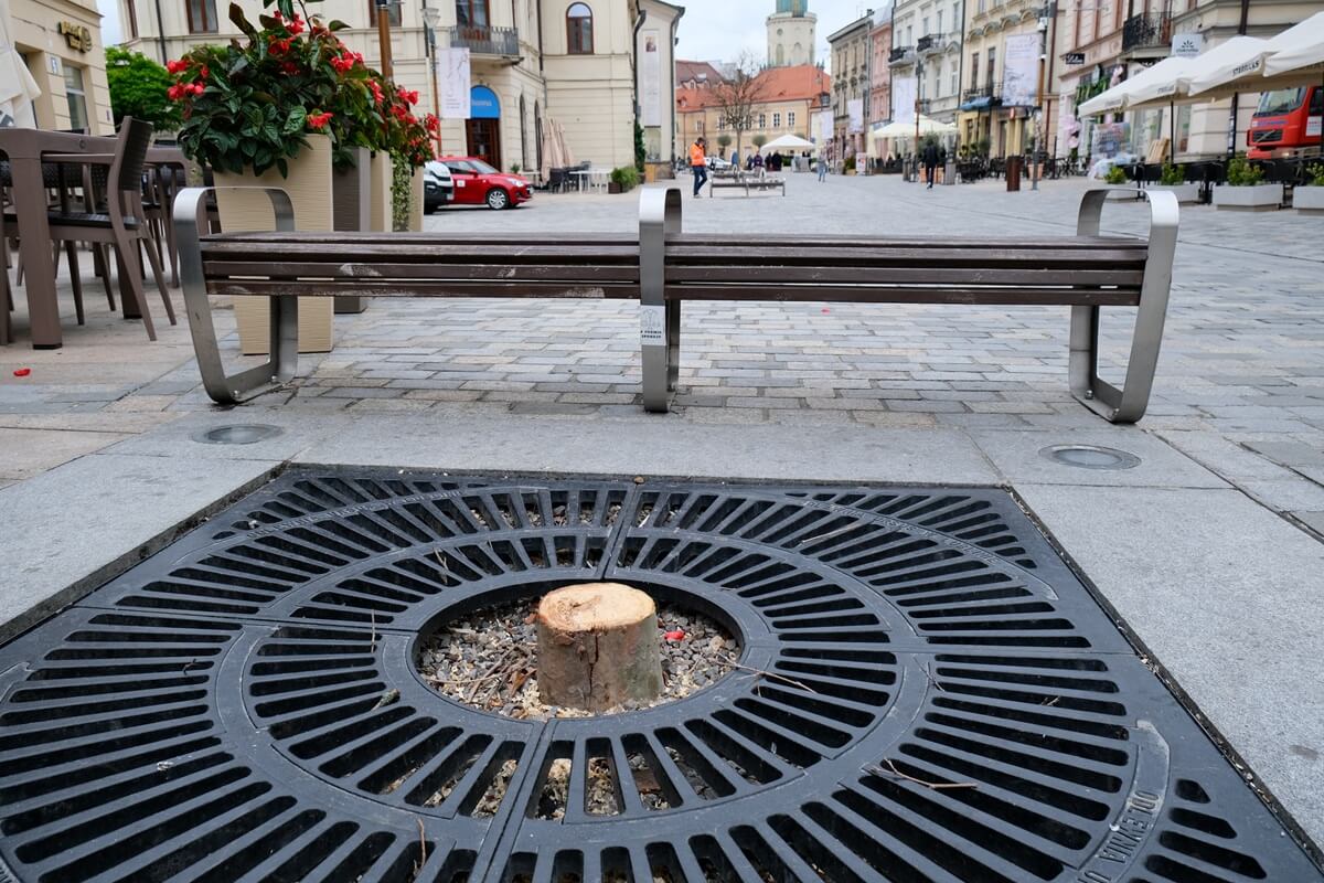 Piły poszły w ruch na Krakowskim Przedmieściu. Ruszyła wycinka platanów, wiemy co posadzą w ich miejsce 4 Wycinka platanów na Krakowskim Przedmieściu