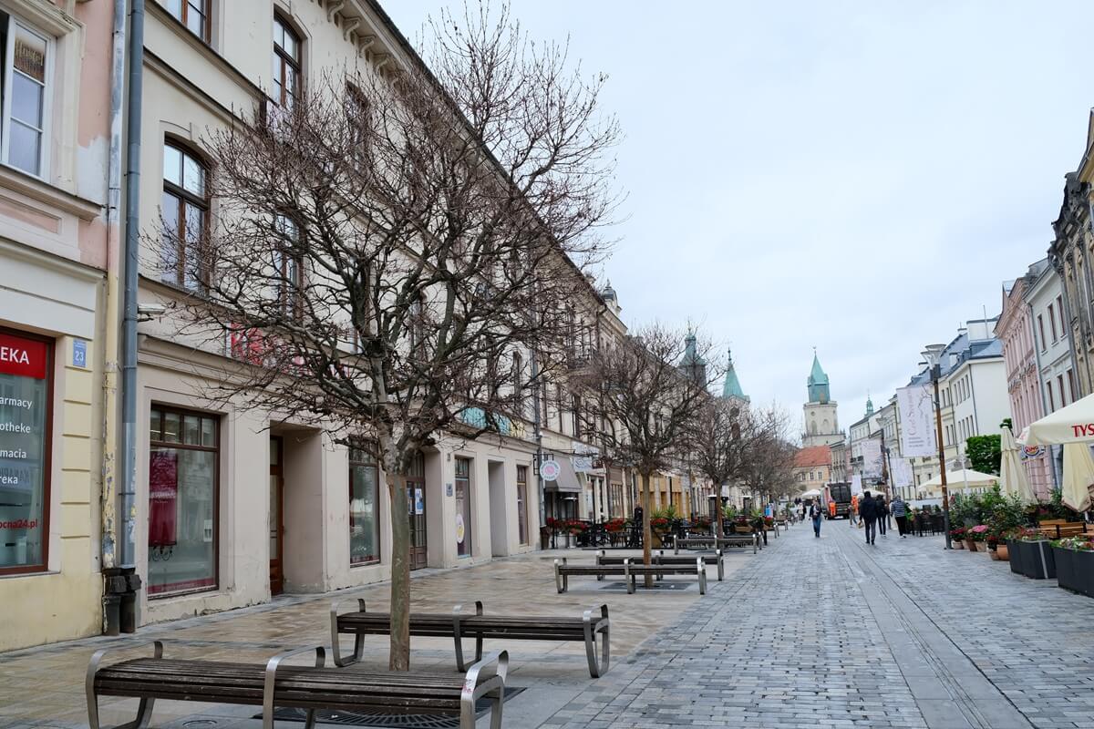 Piły poszły w ruch na Krakowskim Przedmieściu. Ruszyła wycinka platanów, wiemy co posadzą w ich miejsce 2 Wycinka platanów na Krakowskim Przedmieściu