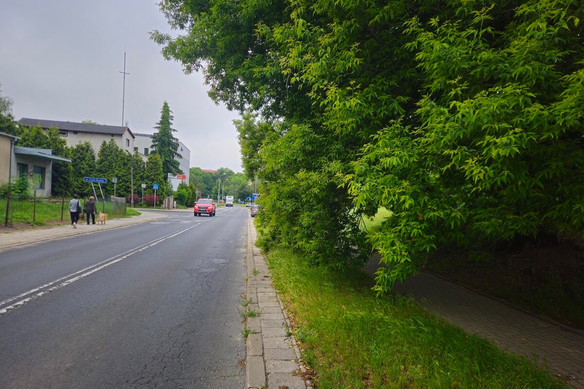 Zasłonięty przez gałęzie znak drogowy przy ul. Walecznych