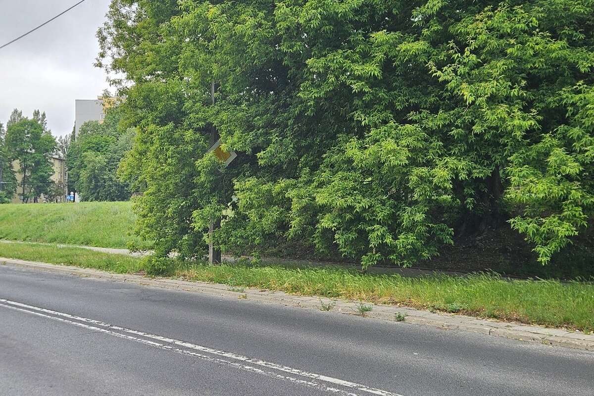 Zasłonięty przez gałęzie znak drogowy przy ul. Walecznych