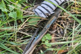 uszkodzony kabel zasilajacy od napisu i love lublin f0eb9fb0985e