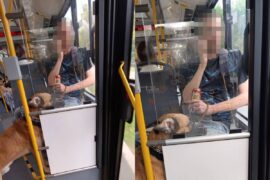 mezczyzna znecal sie nad psem w trolejbusie 385b44a1eb6d