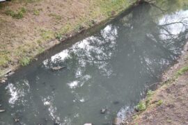 substancja ropopochodna w czerniejowce b1dd9c65884a