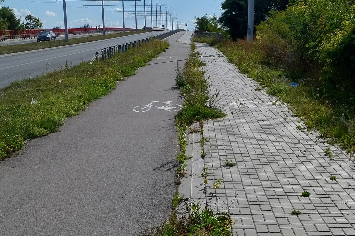 Zarośnięte chodniki i ścieżki rowerowe w Lublinie